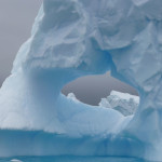 Antarctica by Meryl (23)