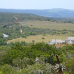 South Africa by Meryl (7)