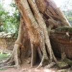 Angkor Wat Cambodia23
