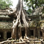 Angkor Wat Cambodia29