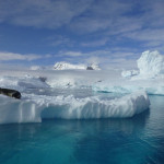 Antarctica by Meryl (13)