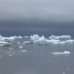 Antarctica by Meryl (22)