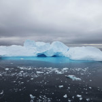 Antarctica by Meryl (28)