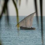 Kenya & Zanzibar by Meryl (22)